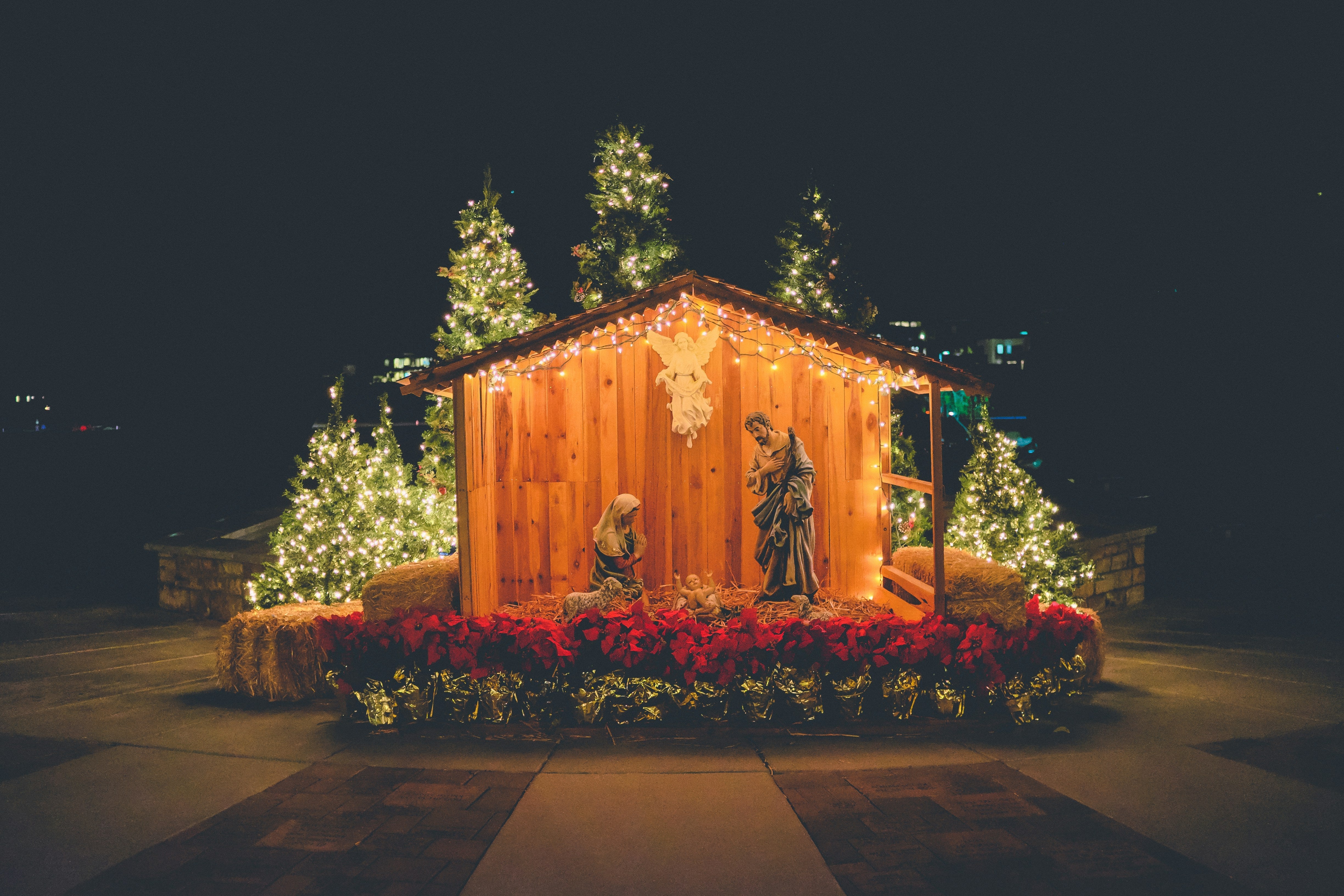 Christmas Cards